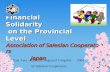 Financial Solidarity  on the Provincial Level