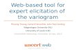 Web-based tool for expert elicitation of  the variogram