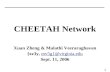 CHEETAH Network Xuan Zheng & Malathi Veeraraghavan {xz3y,  mv5g}@virginia Sept. 11, 2006