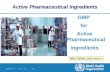 GMP  for  Active Pharmaceutical  Ingredients