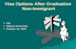 Visa Options After Graduation  Non-Immigrant