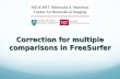 Correction for multiple comparisons in  FreeSurfer