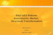 RAO UES Reform: Investments, Market,  Structural Transformation