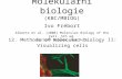 12. Methods of molecular biology I I : Visualizing cells