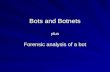 Bots and Botnets plus