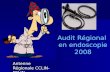 Audit Régional  en endoscopie 2008