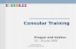 Consular Training