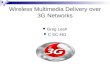 Wireless Multimedia Delivery over 3G Networks