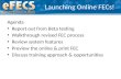 Launching Online FECs!