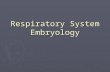 Respiratory System Embryology