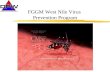 FGGM West Nile Virus  Prevention Program