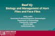 Beef IQ: Biology and Management of Horn Flies and Face Flies