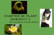 CHAPTER 30: PLANT DIVERSITY II