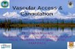 Vascular Access & Cannulation  Dr Osama Bawazir