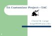 TA Customizer Project—TAC