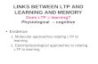 LINKS BETWEEN LTP AND LEARNING AND MEMORY Does LTP = learning? Physiological  -- cognitive