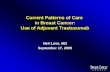 Current Patterns of Care  in Breast Cancer: Use of Adjuvant Trastuzumab