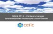 SQAS 2011 – Content changes Steven Beddegenoodts – Chairman  SQAS Executive Committee