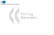 Citing Datasets