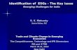 Identification of  ESGs - The Key Issue Emerging Challenges for India
