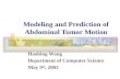 Modeling and Prediction of Abdominal Tumor Motion