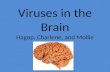 Viruses in the Brain Hagop , Charlene, and Mollie