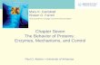 Chapter Seven The Behavior of Proteins:  Enzymes, Mechanisms, and Control