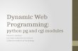 Dynamic Web Programming: python  pg  and  cgi  modules