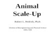 Animal Scale-Up