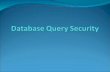 Database Query Security