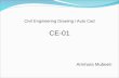 Civil Engineering Drawing / Auto Cad CE-01 Ammara  Mubeen