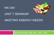 NS 220 Unit 7  Seminar Meeting energy needs