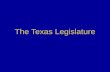 The Texas Legislature