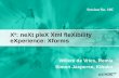 X 6 : neXt pleX Xml fleXibility eXperience: Xforms