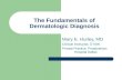 The Fundamentals of Dermatologic Diagnosis