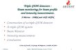 Triple GEM detectors : Beam monitoring for beam profile  and intensity measurements.