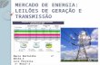 MERCADO DE ENERGIA: LEILÕES DE GERAÇÃO E TRANSMISSÃO