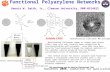 Functional Polyarylene Networks