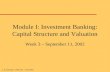 Module I: Investment Banking: Capital Structure and Valuation