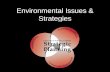 Environmental Issues & Strategies