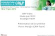 CRIP Index  Etude juin 2013 Stratégie MDM