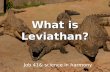 What is Leviathan?