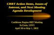 CRRT Action Items, Issues of Interest, and Next Meeting Agenda Development