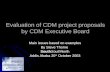 Evaluation of CDM project proposals by CDM Executive Board