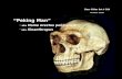 “Peking Man” aka  Homo erectus pekinensis  aka  Sinanthropus