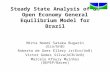 Steady State Analysis of an Open Economy General Equilibrium Model for Brazil