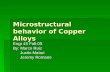 Microstructural behavior of Copper Alloys