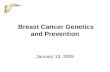 Breast Cancer Genetics and Prevention