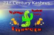 21 st  Century Kashrus