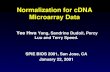 Normalization for cDNA Microarray Data